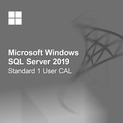 Microsoft SQL Server 2019 Standard 1 používateľská CAL licencia